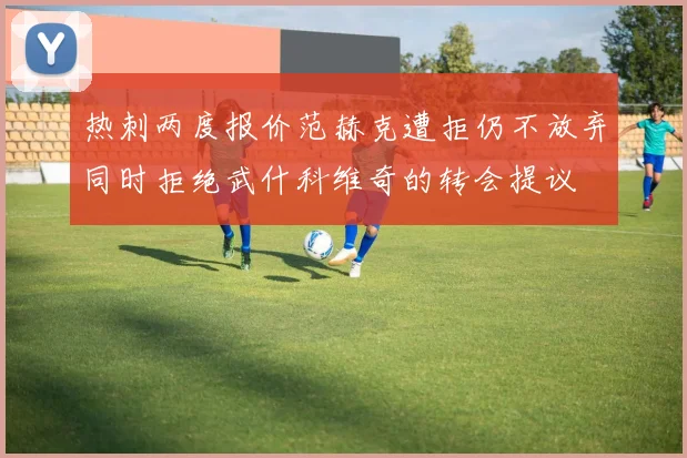 热刺两度报价范赫克遭拒仍不放弃同时拒绝武什科维奇的转会提议