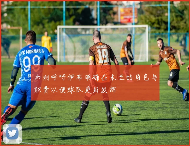 加利呼吁伊布明确在米兰的角色与职责以便球队更好发挥