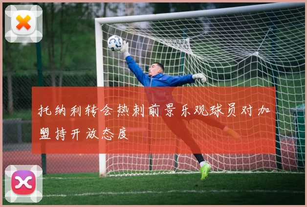 托纳利转会热刺前景乐观球员对加盟持开放态度